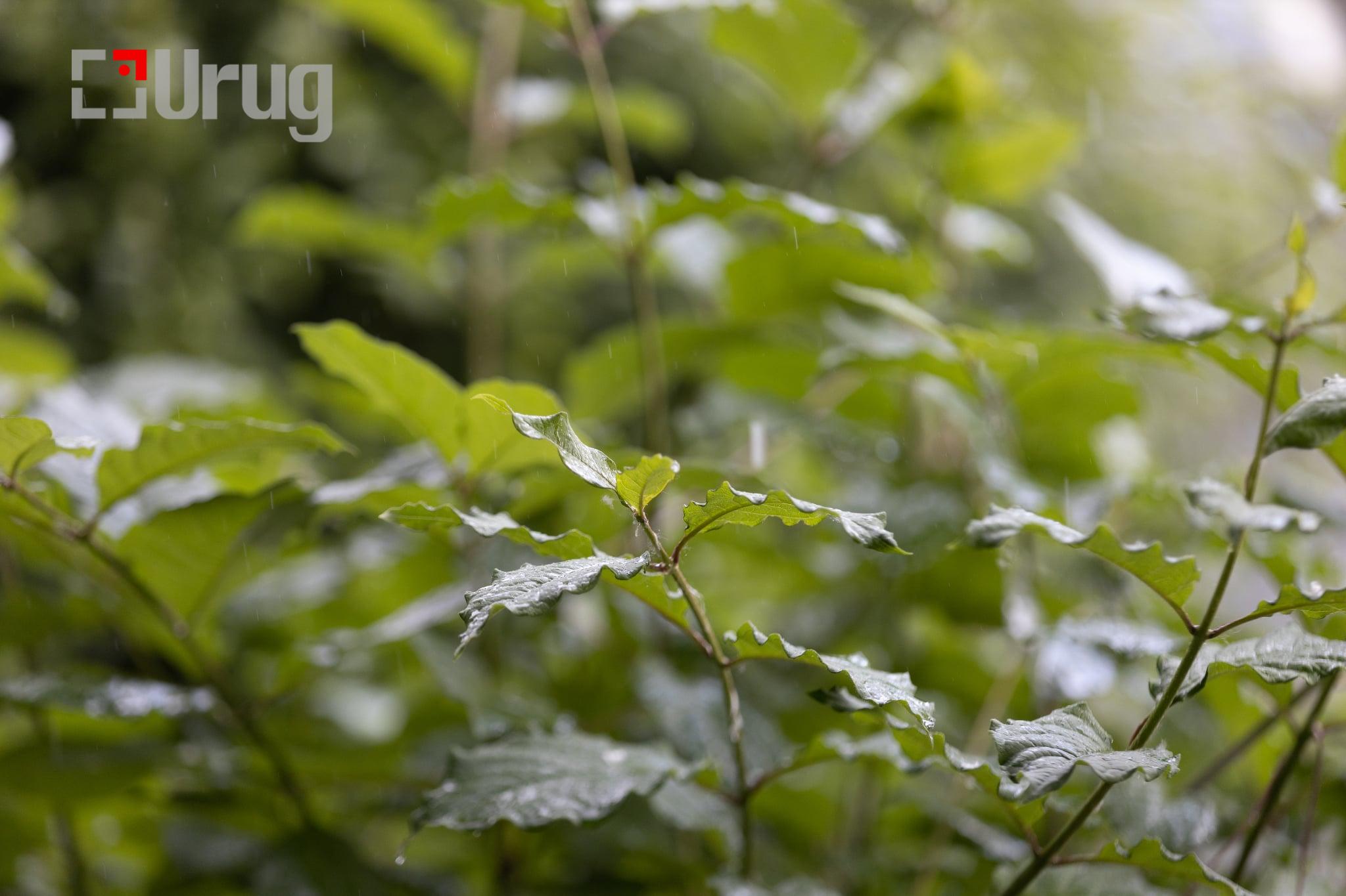 att.ZWTo4jrMxH8M7maqI41n6EyAD7QuYhzc2izrsLNJu18