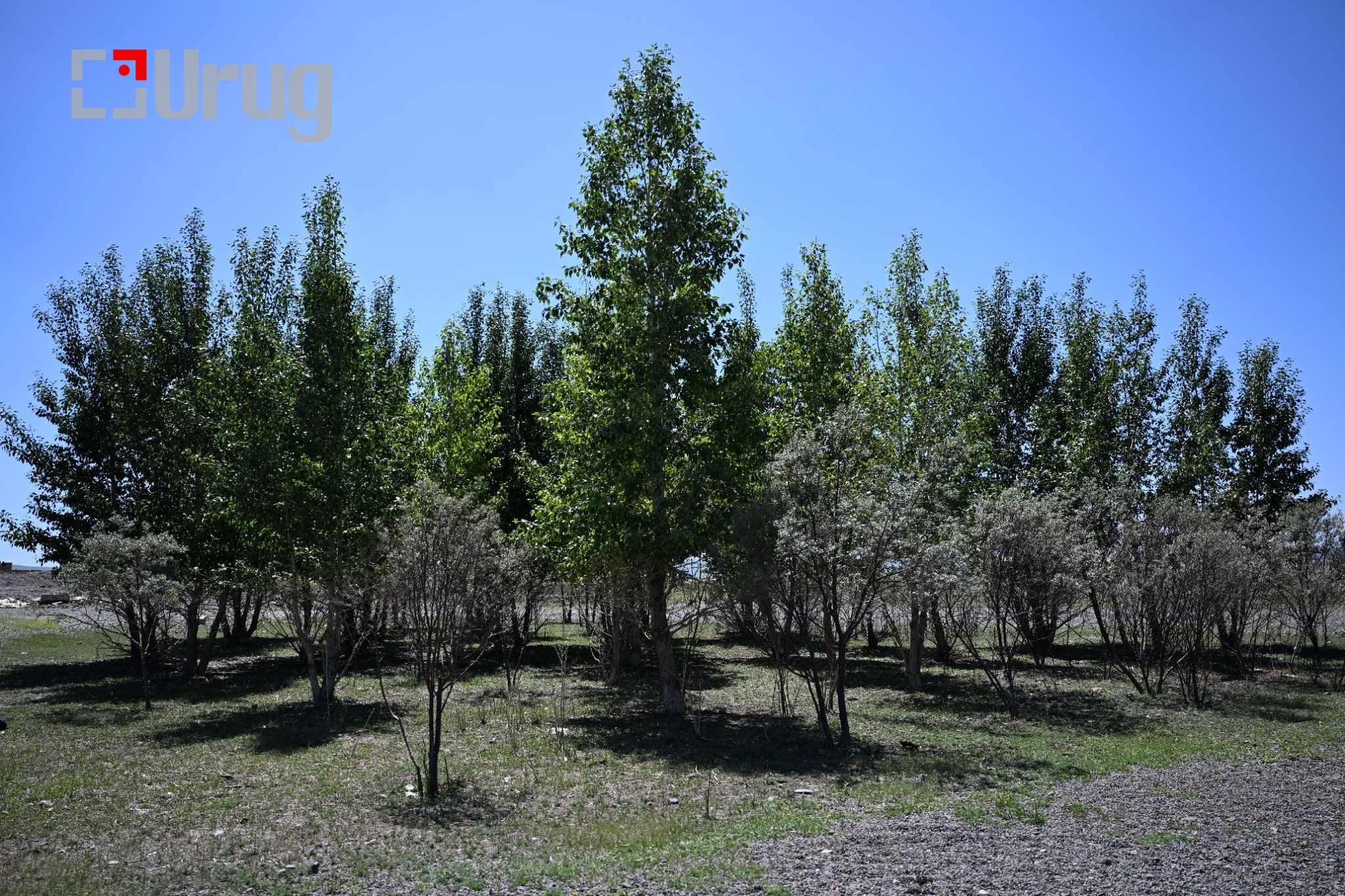 att.d2fro4HyKVmnJXpe9Jp13lqp8Mc1zsA9r9xmx4G142M