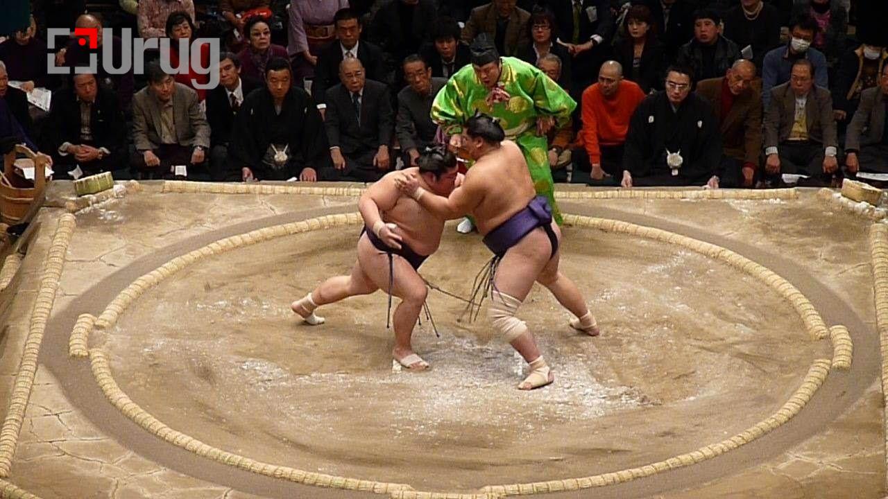 sumo