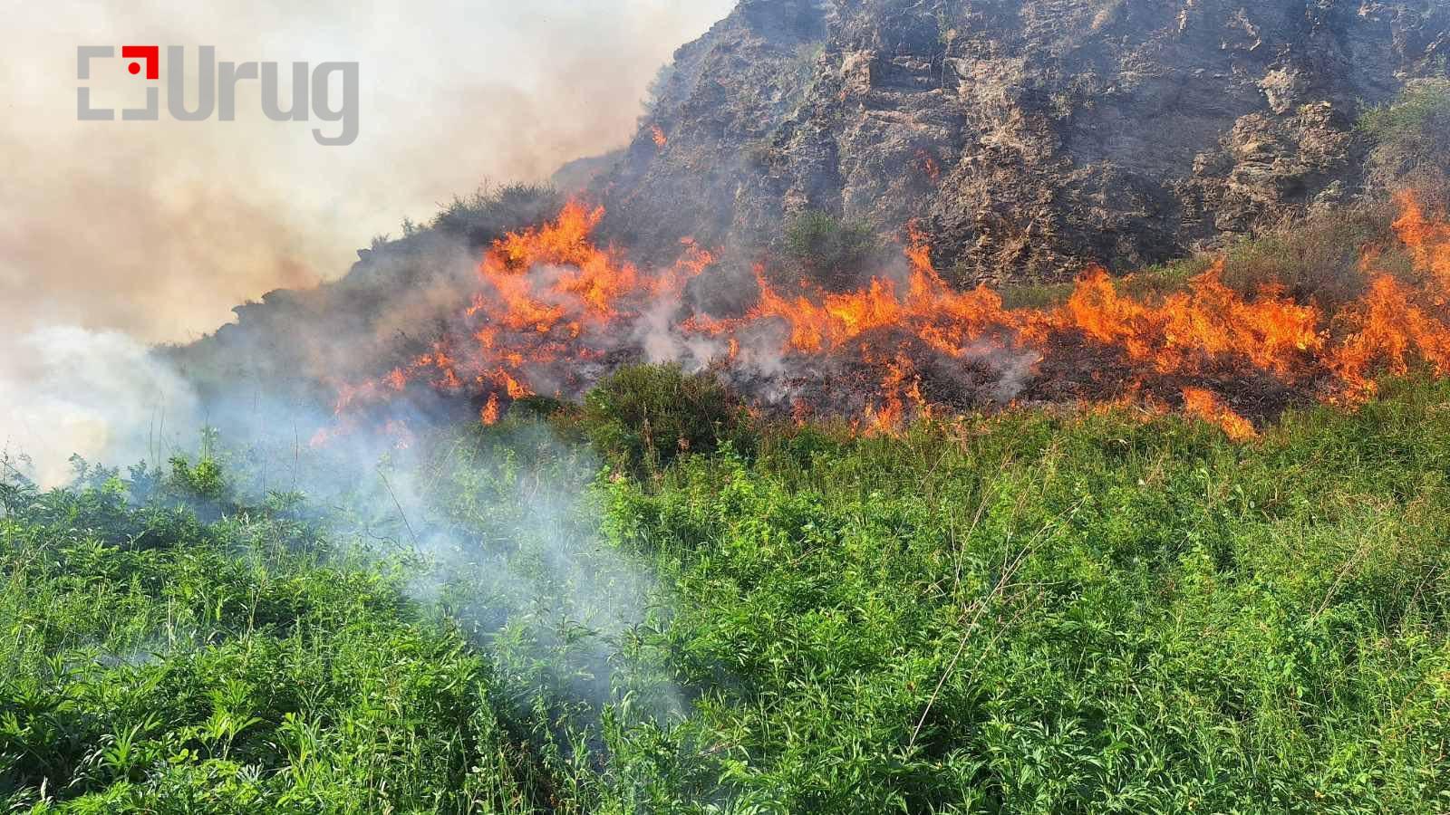 viber_image_2025-07-24_10-21-39-570