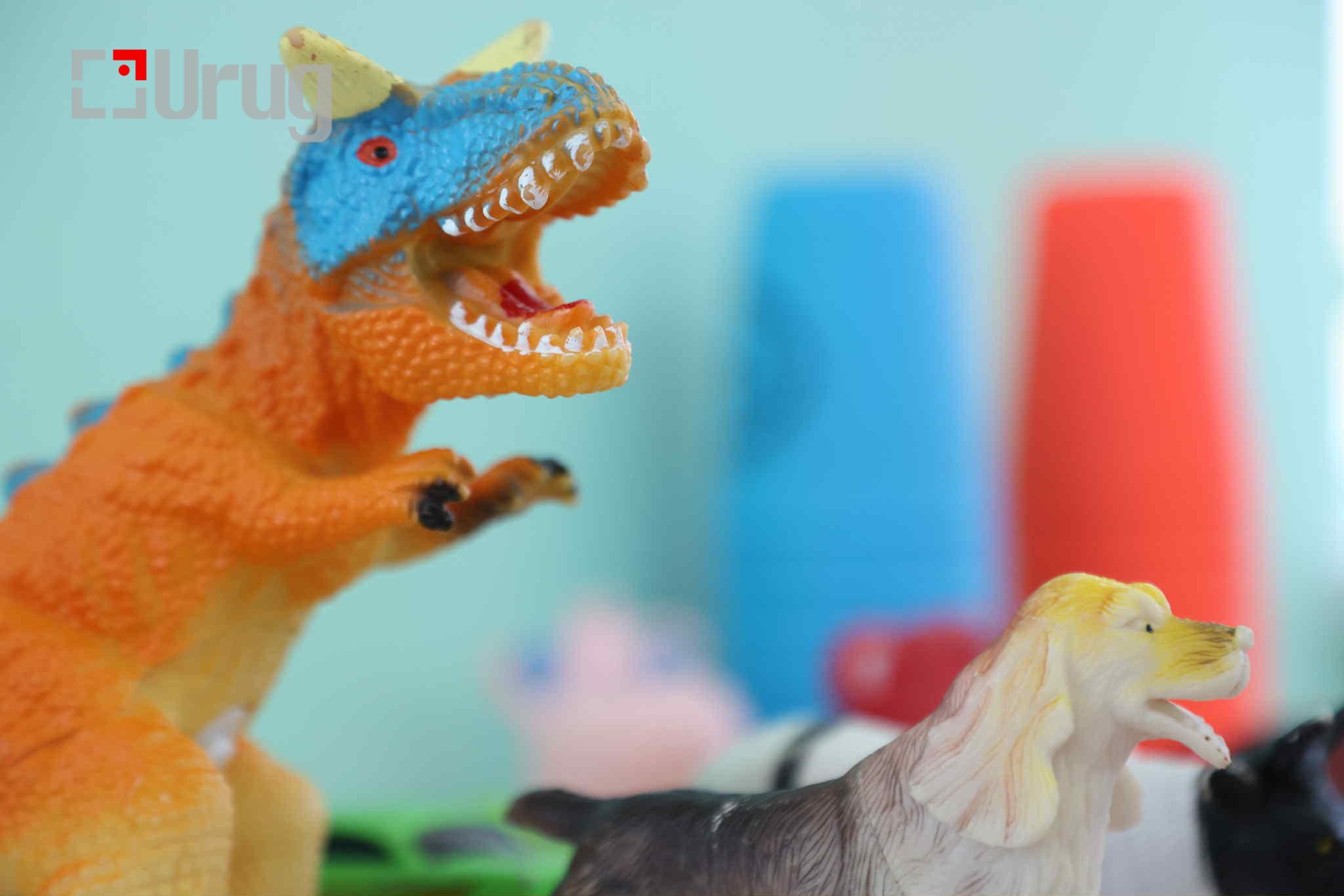 0a210e87-0051-42db-b5a7-93051fcd5e97