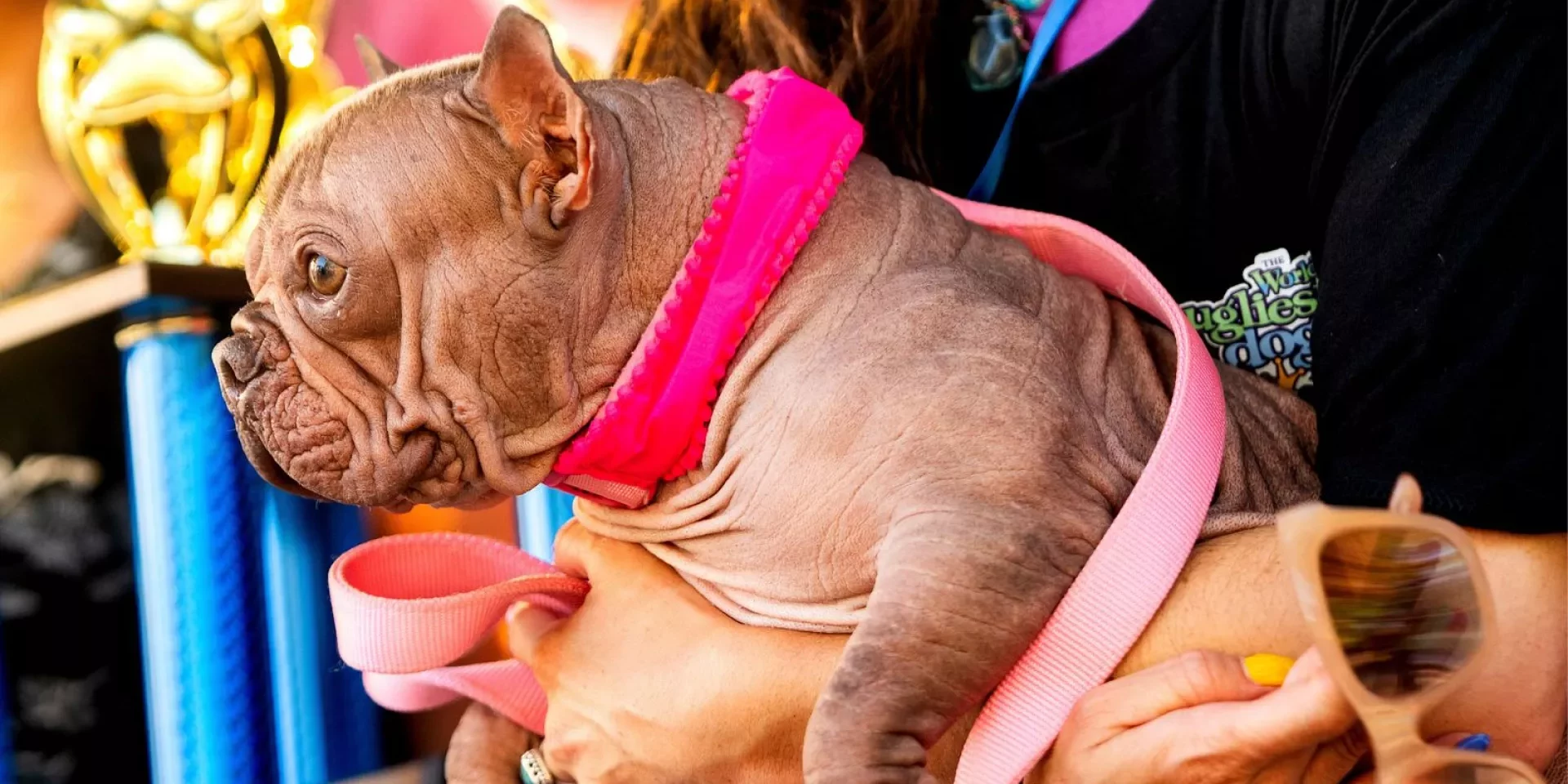 1920x1080_cmsv2_c8fe96ce-097e-51a1-8d5b-b71539697bc4-9414461