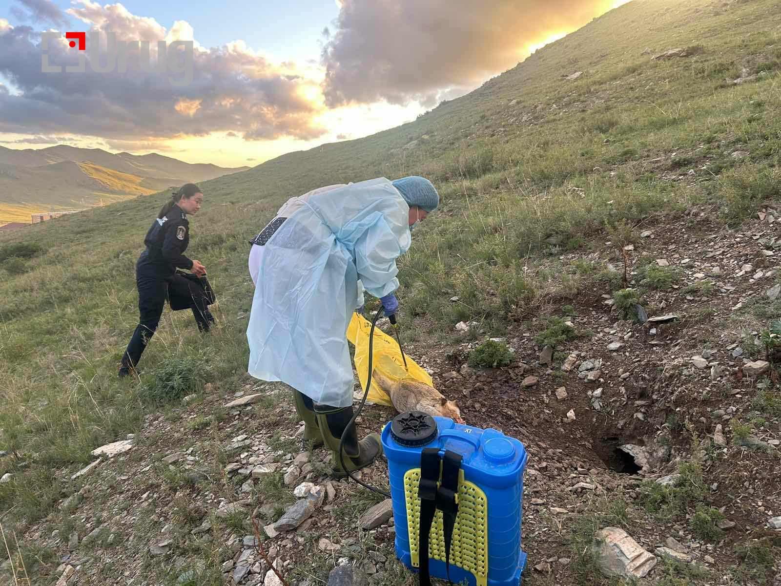 528174164_1080326377533037_7603664780284747501_n