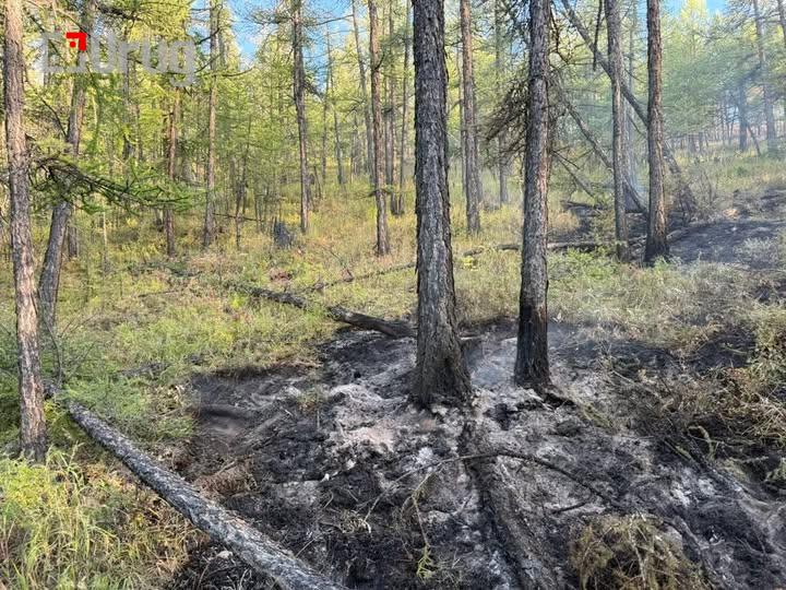 533127147_1208033124685245_4562094152462158583_n