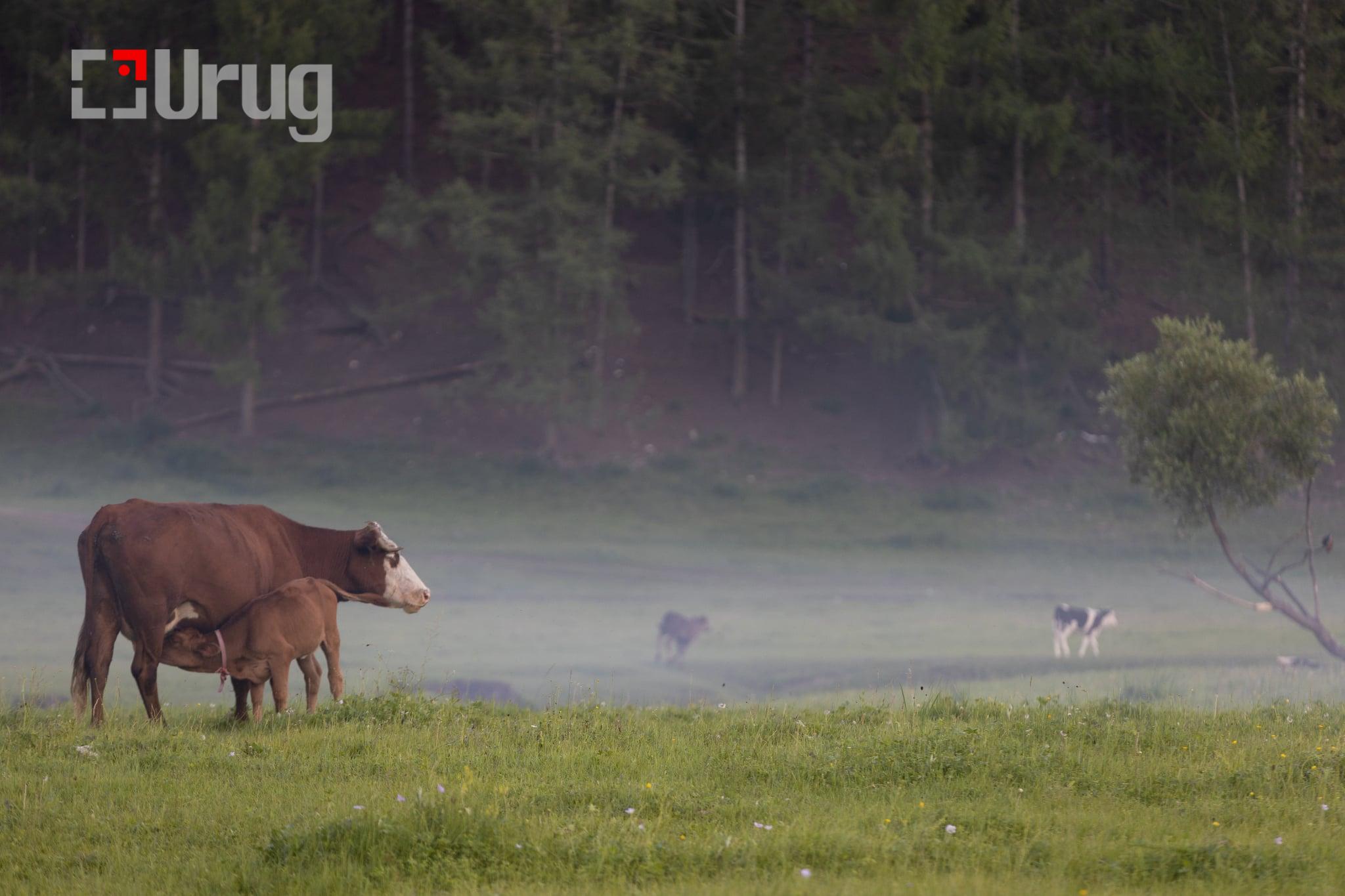 att.sQvMElxl0N5znzNn7Rza20bAG8b-A8xdHK_S8XGCmZw