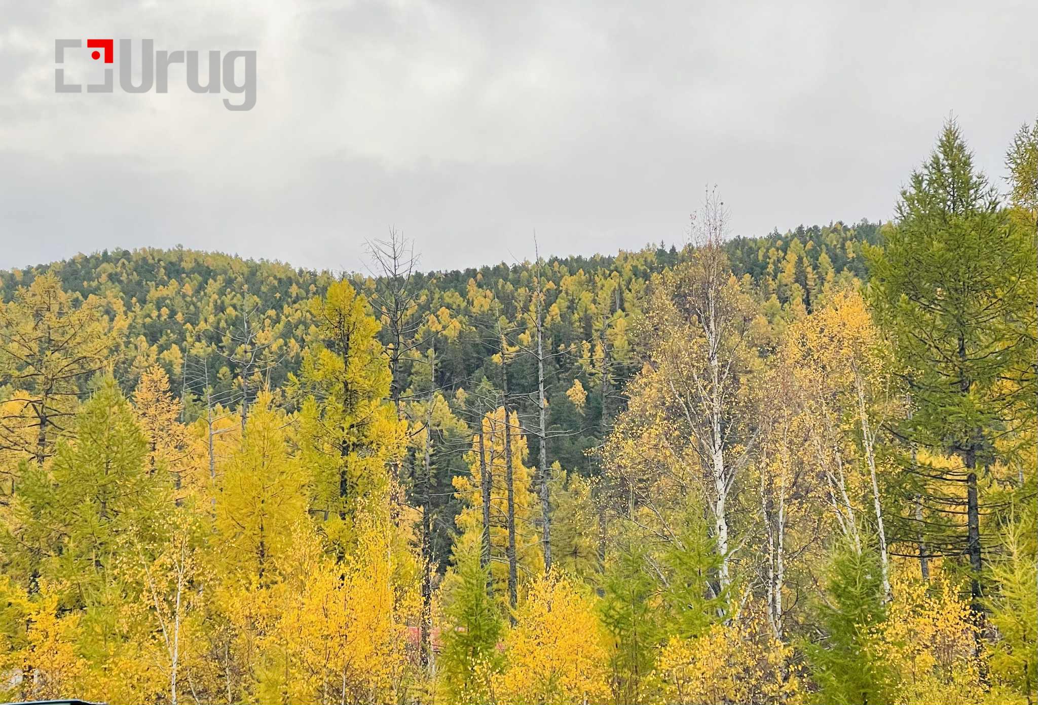 0cd60b7b-c949-47f6-9eed-33f15d95c205