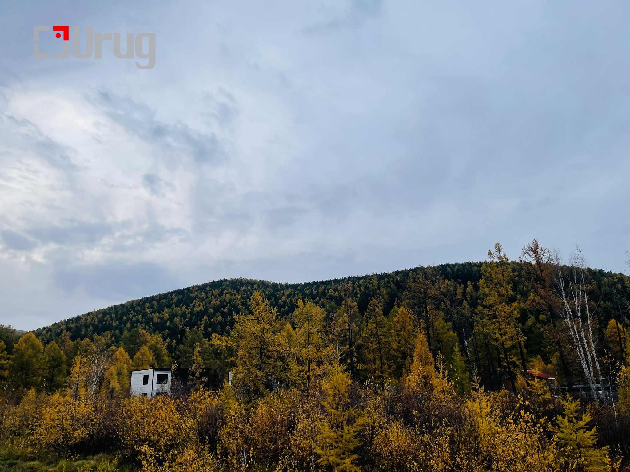 1bf7b78c-7e1f-4782-988b-b2035f33eb14