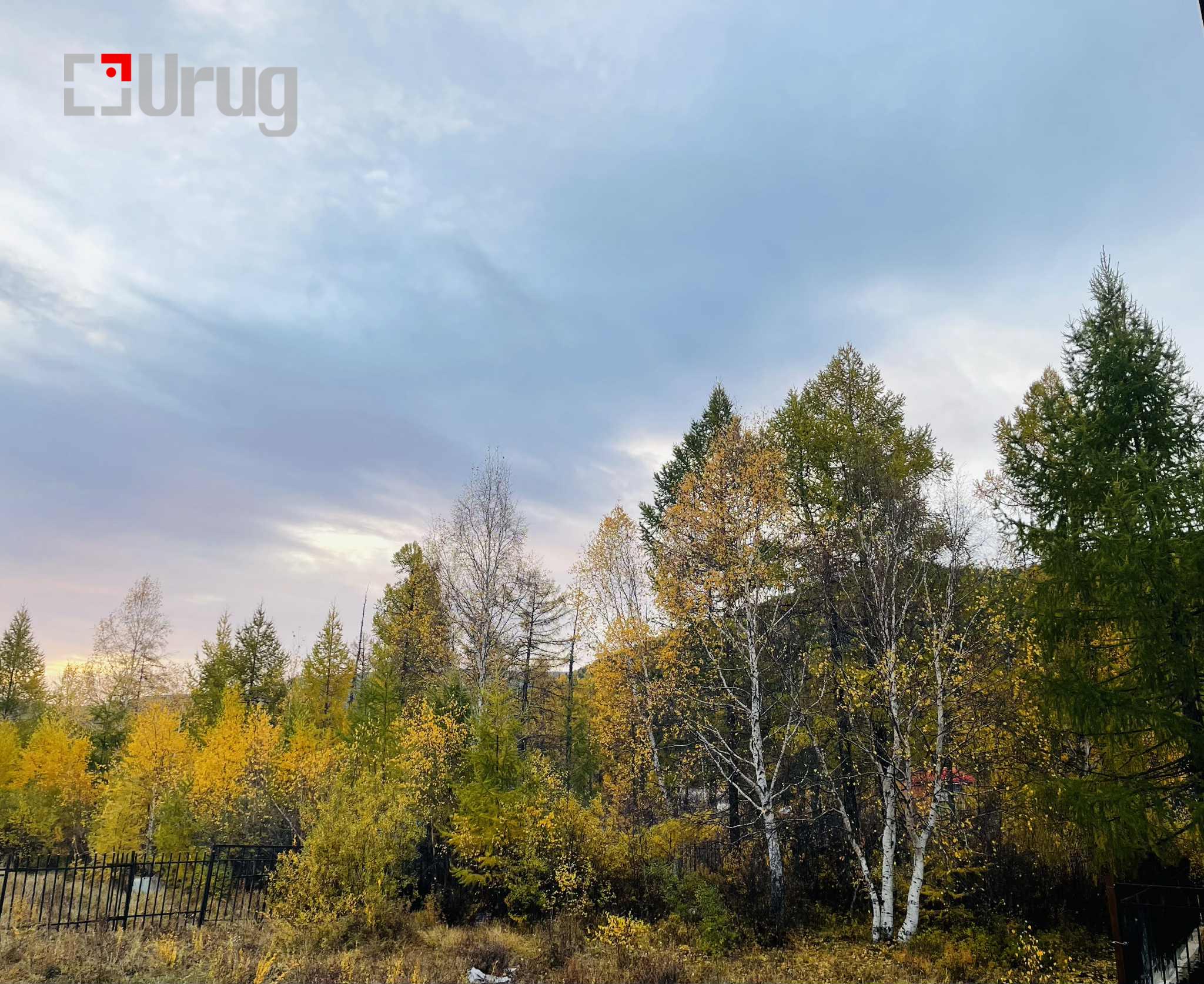 1d319af0-689c-422c-afd8-e10ff91c2935