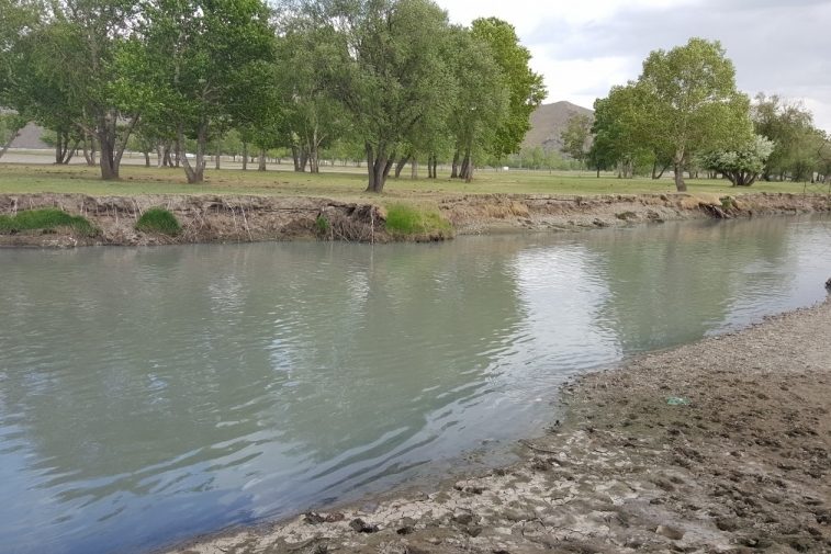 1h0vg0quecg5960u9qgvij7q96