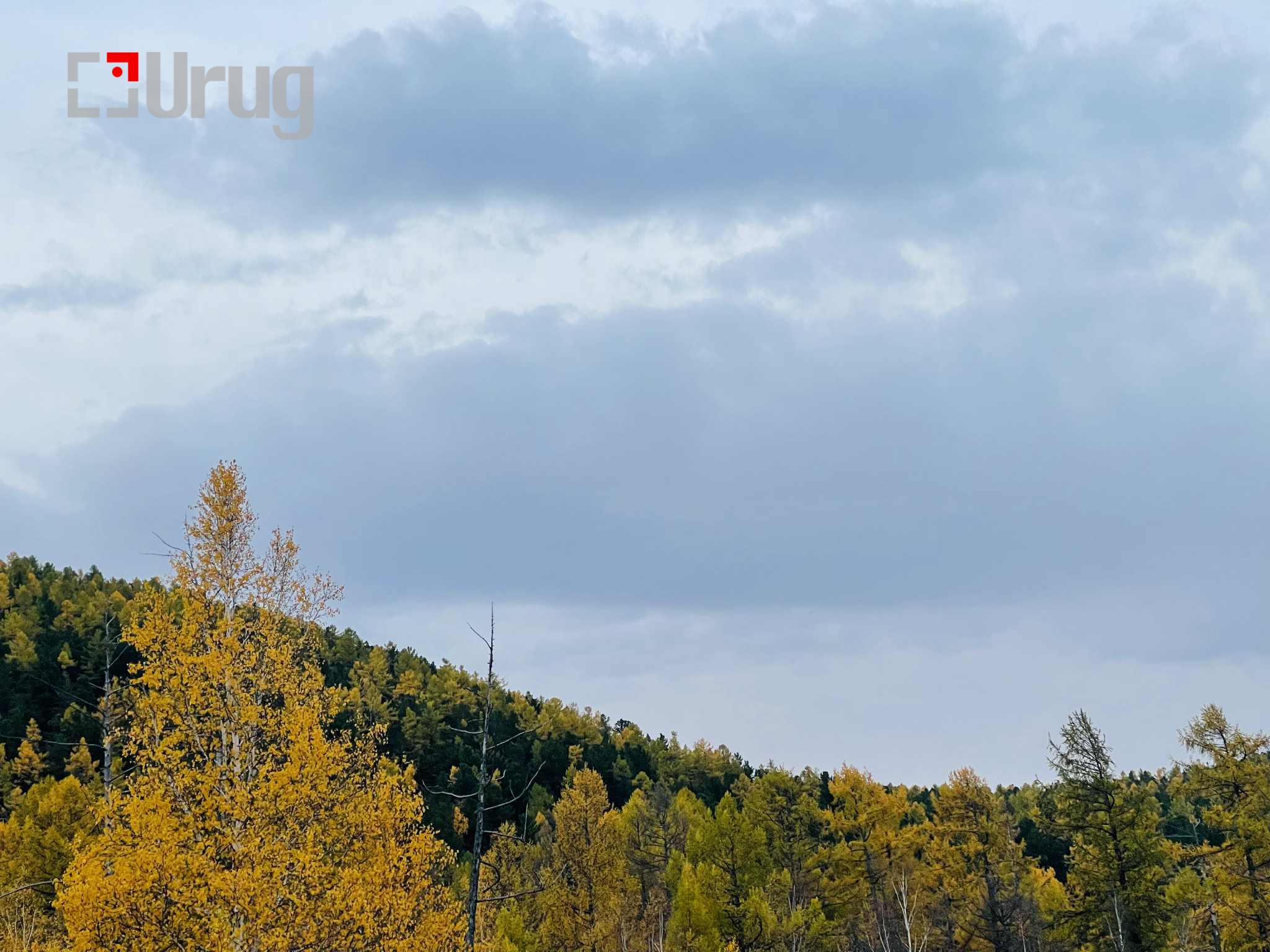 31ded4a9-4da5-4cfa-bb55-d09730f6942d