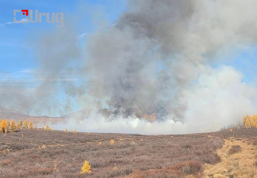 550660615_1238249548330269_4177410440128517706_n