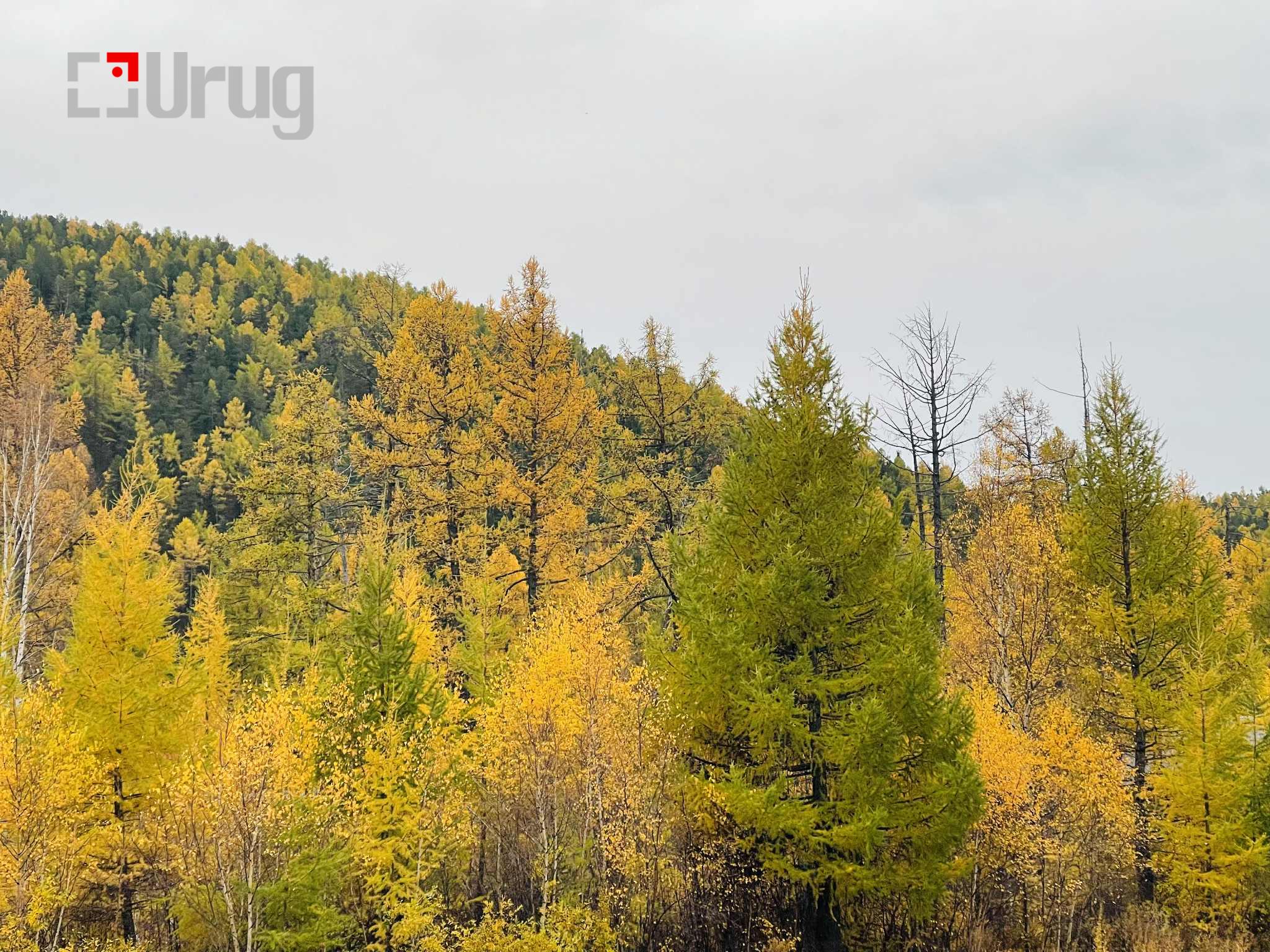 5bf5edab-7491-42e6-abd8-7aeefcc52abd