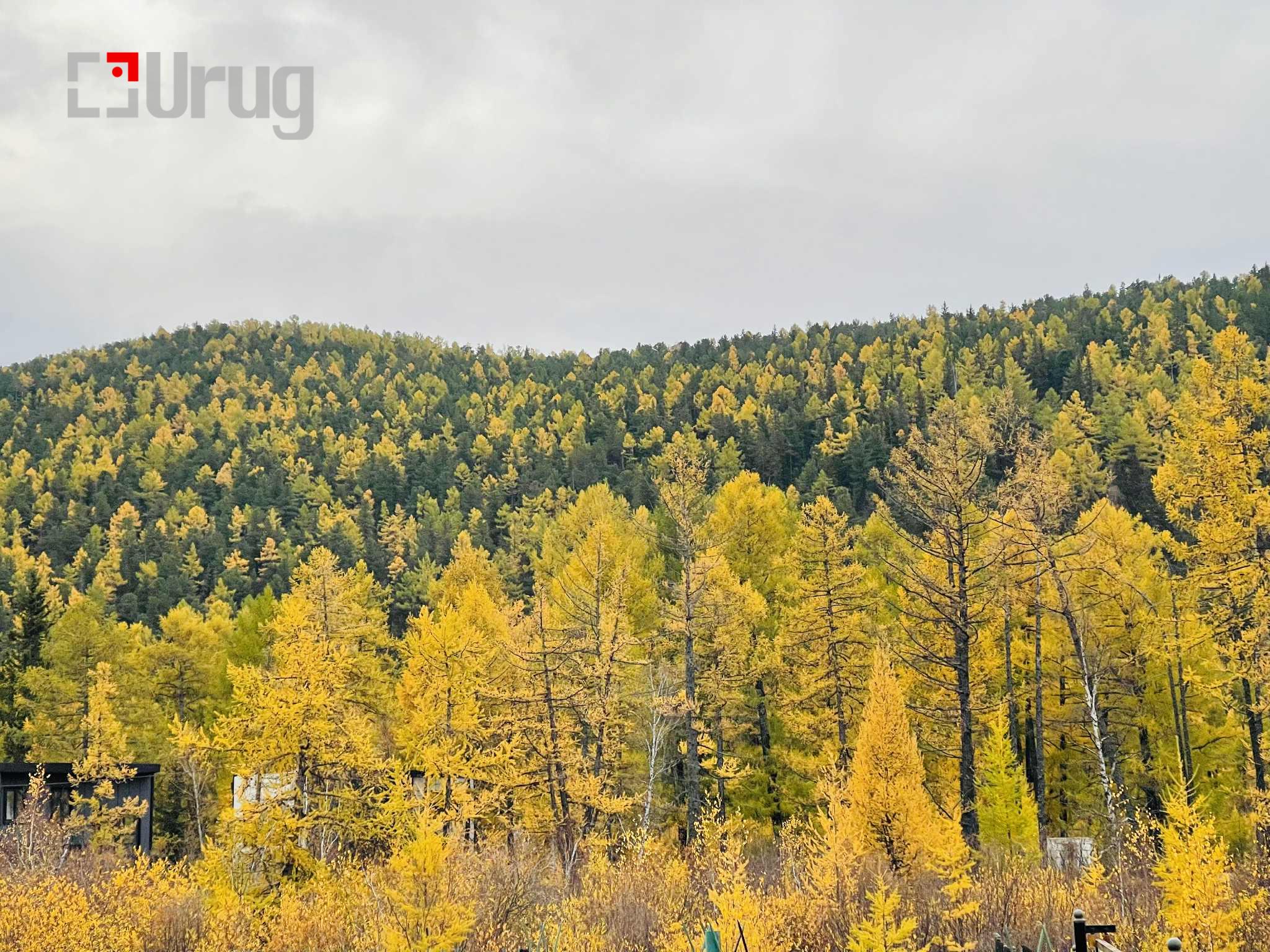 82138d06-df26-4fef-a9c6-86d1ea926842