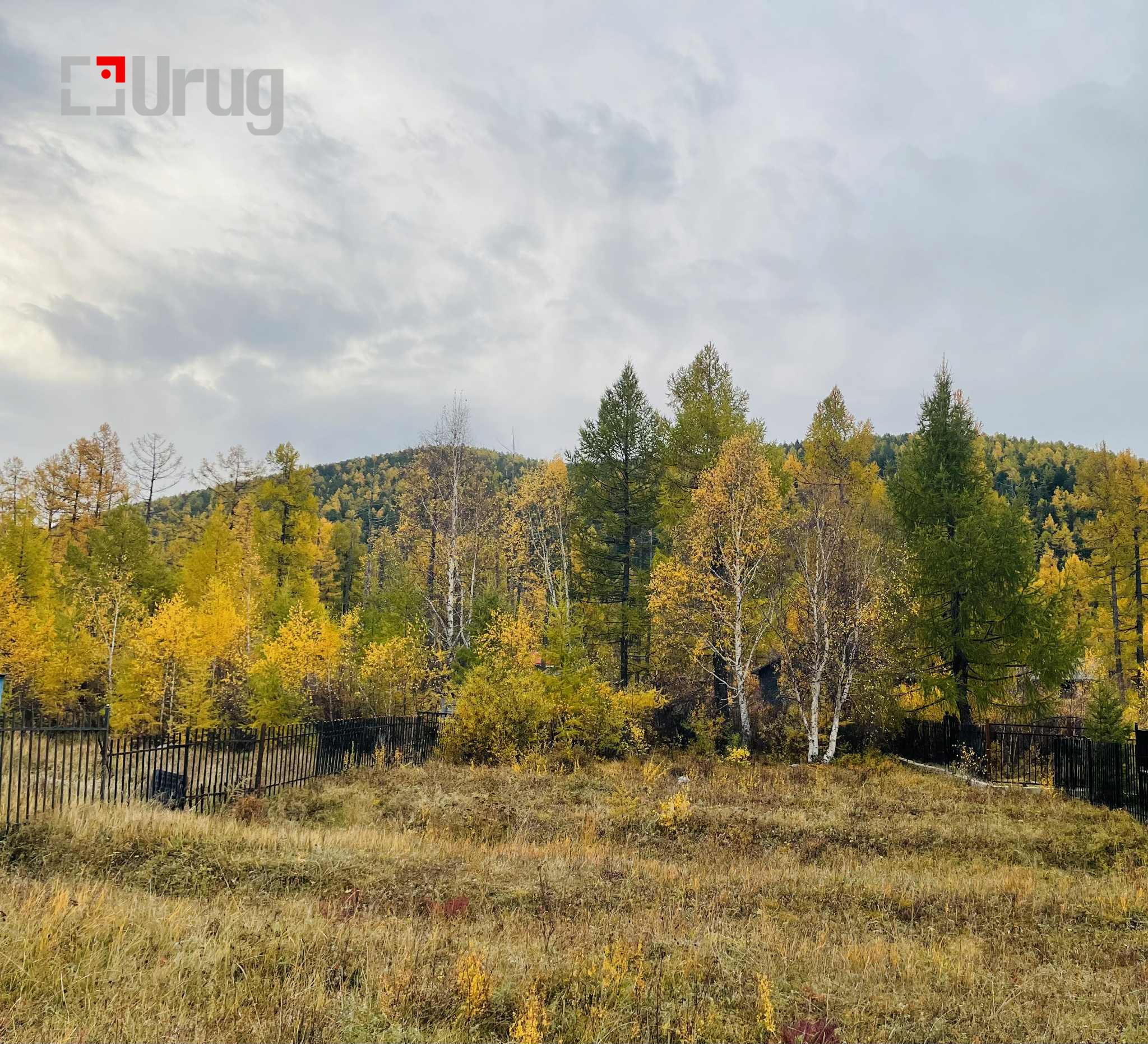 9bd76167-0dee-40b8-a6f6-bfab61cfde68