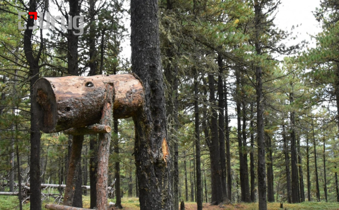 Screenshot 2025-09-29 102556