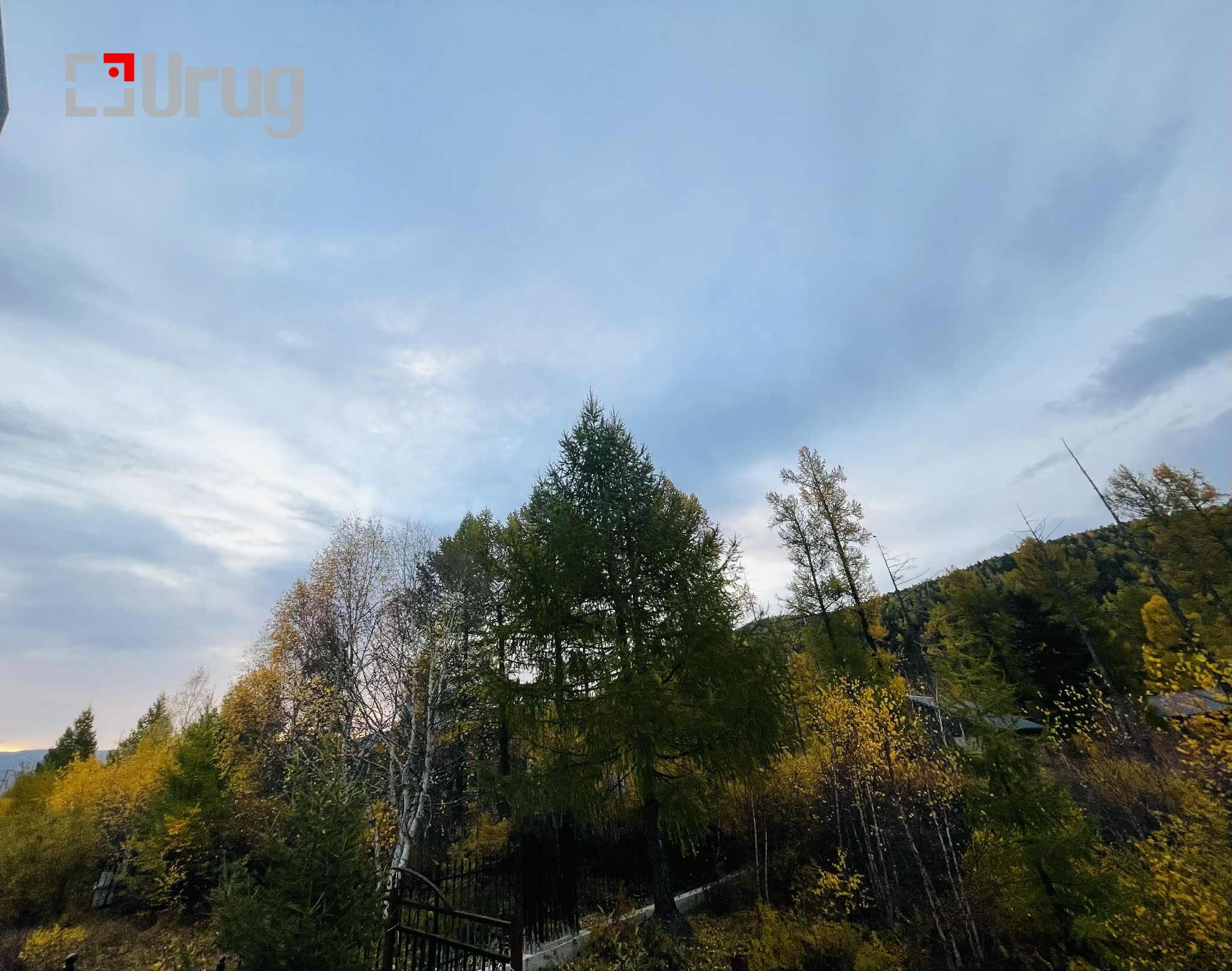 a692c165-556d-4362-bad2-09e880d6c7f4