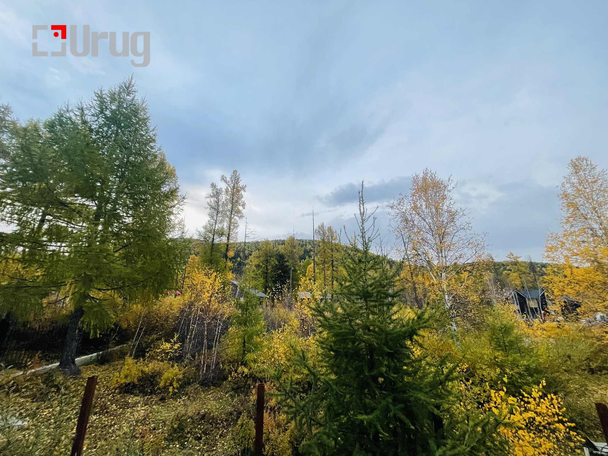 c7a09c03-ef0d-4c18-b41a-375a84ecc78e