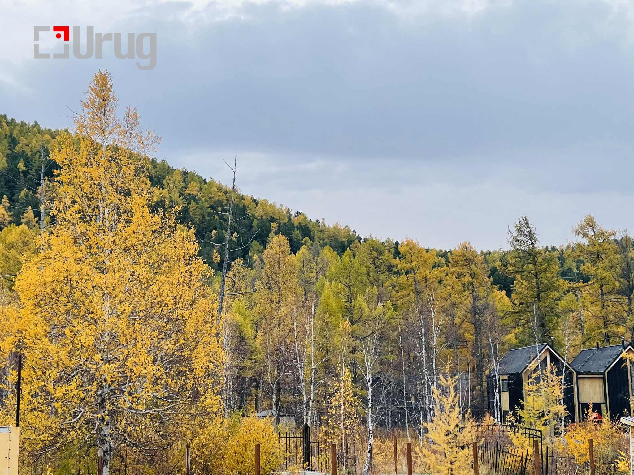 fdaabca8-712d-4d97-a290-3be976da3306