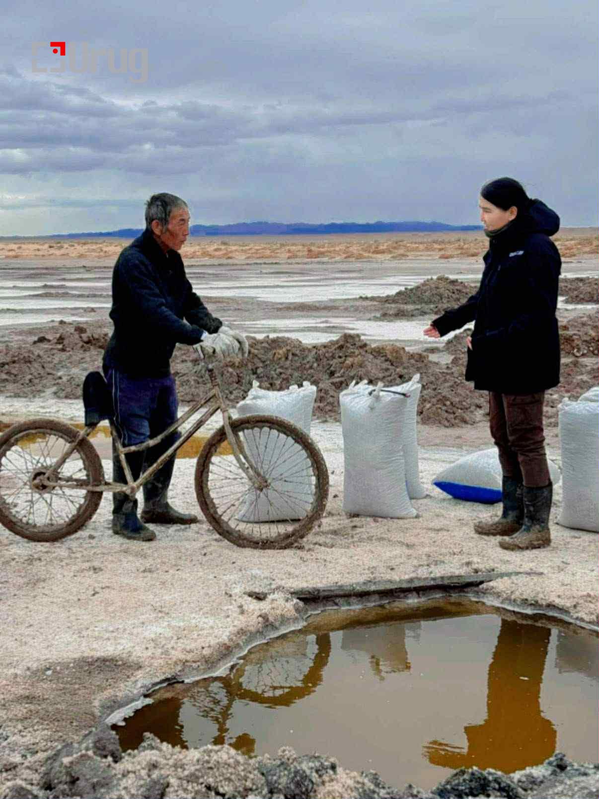 009da97d-837a-43fd-99d5-f27fb19155cc