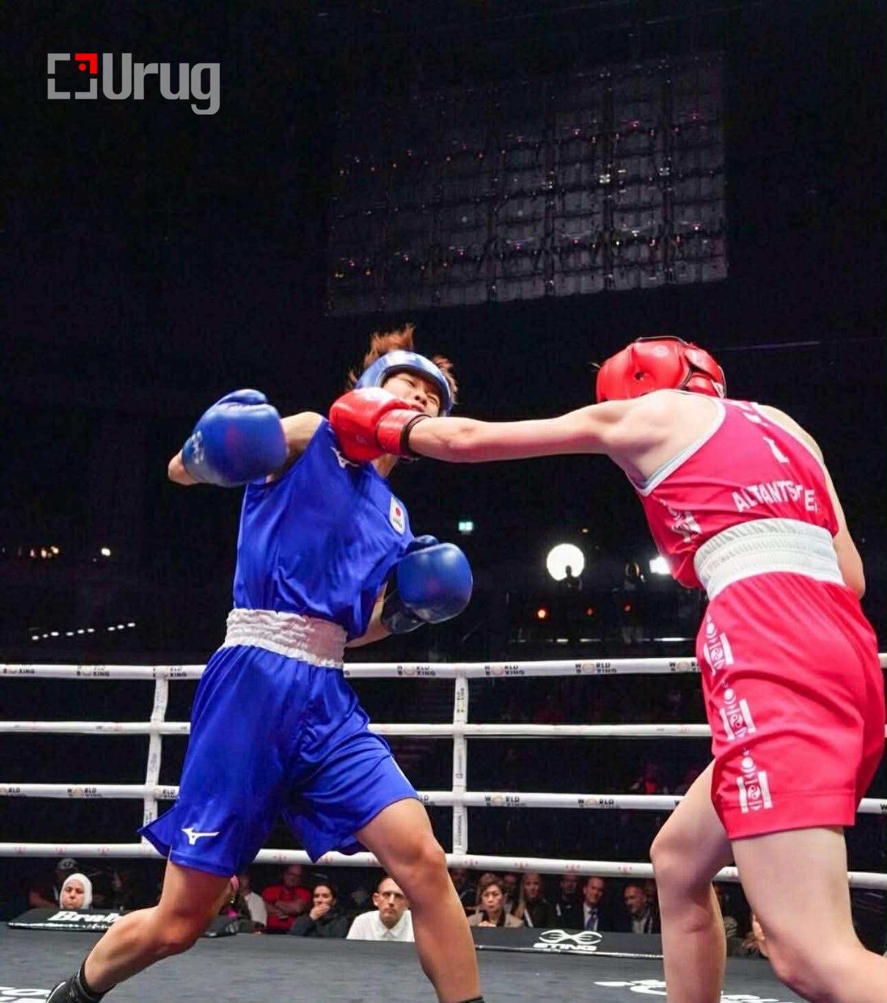 3eb8fca7-a41c-40e9-92ce-feba5233c5a5