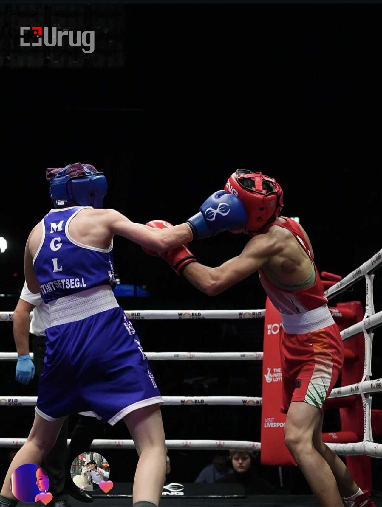 4113f971-124a-4585-a5c0-ac801165cd68