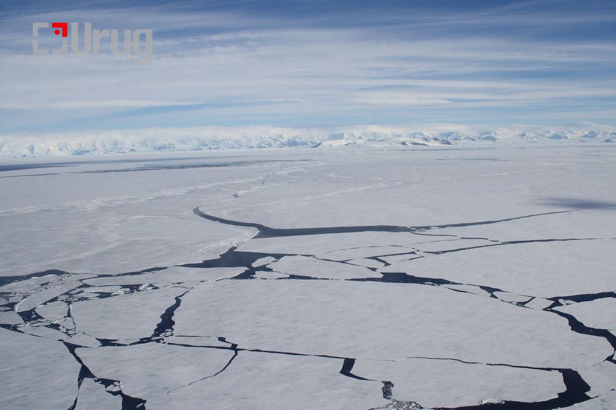 447aaf_seaicelarsena_x974