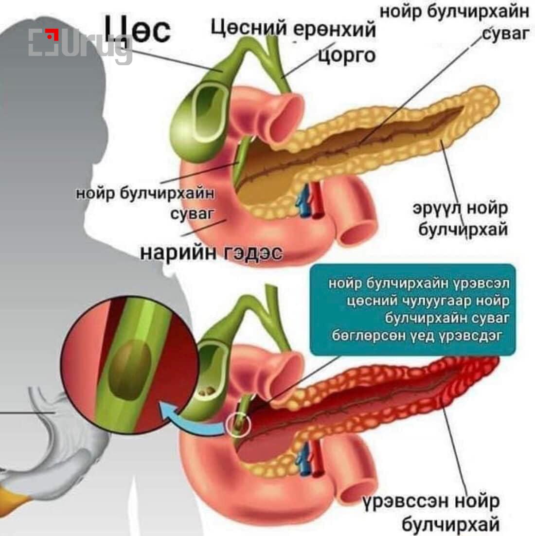 486298377_961123936221656_6812710666209628017_n