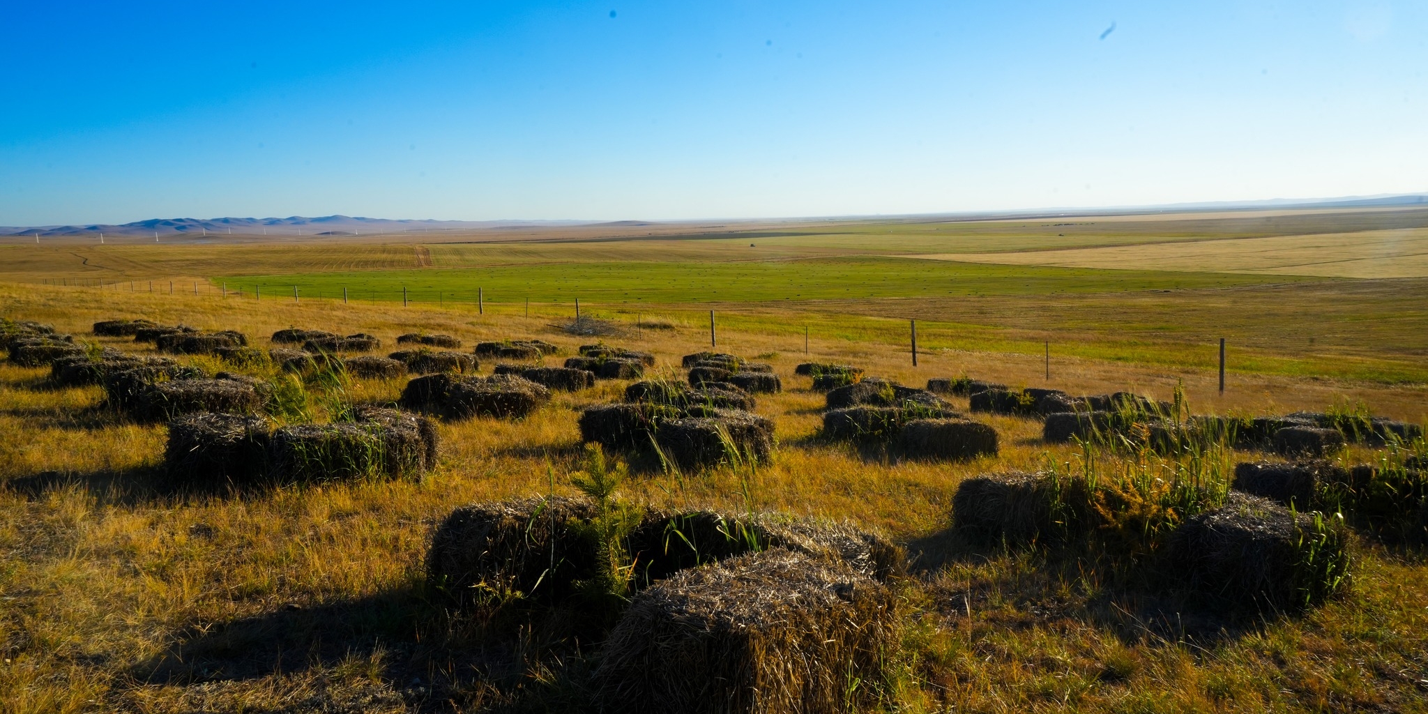 557601047_1082027344138807_7363621842558238910_n