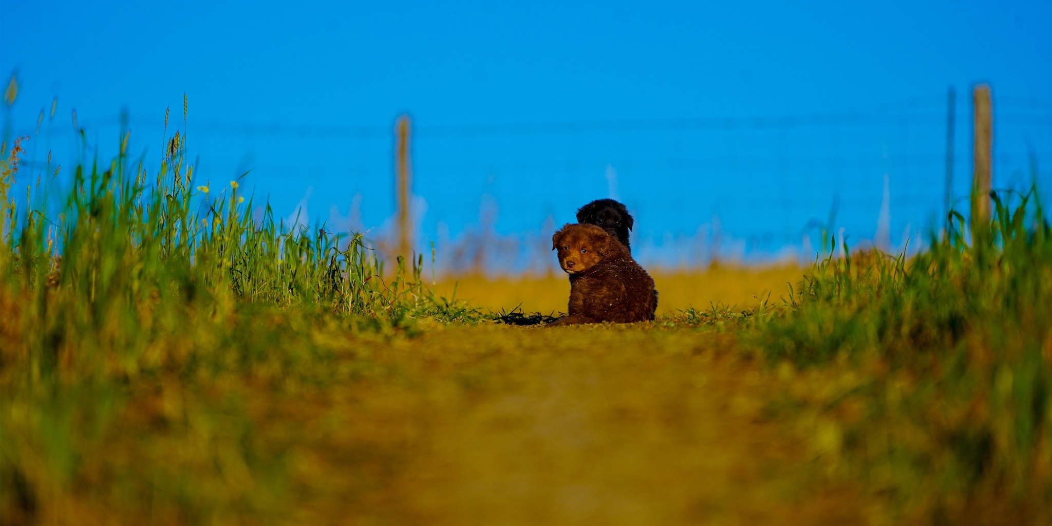 558935077_1082027557472119_3136501235203550852_n