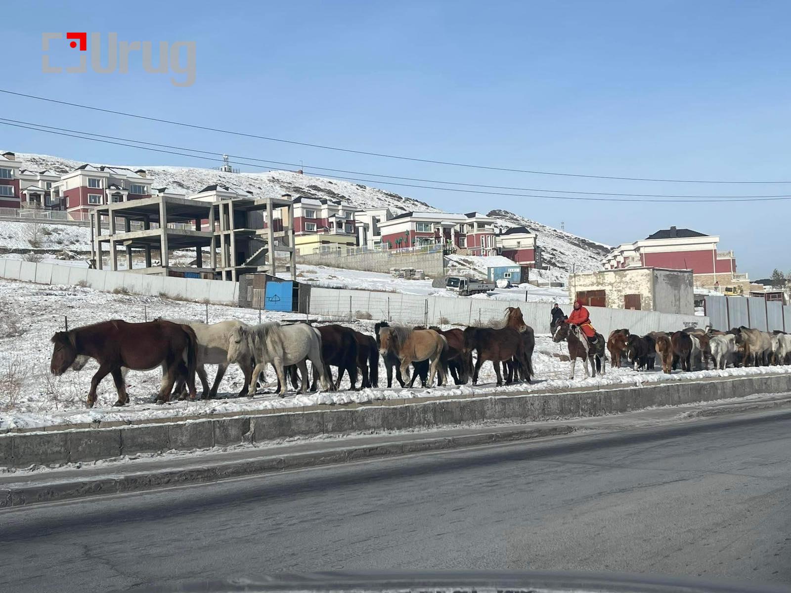 63d0874b18164615ff1e67ed