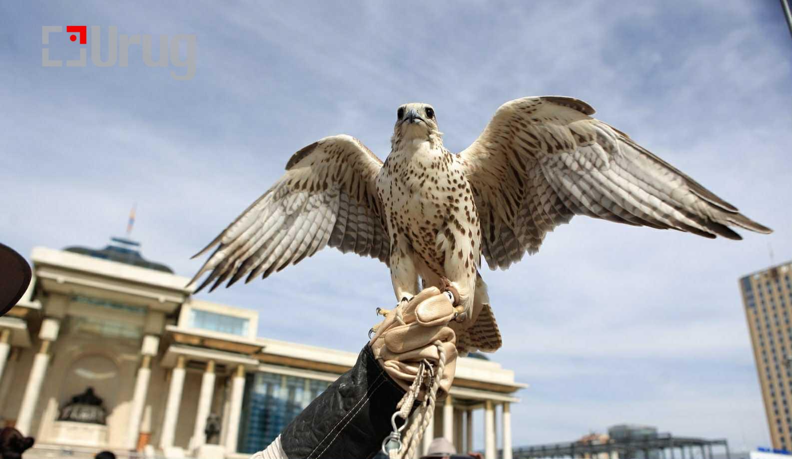 cdbdea94-6bd8-4474-b8d6-58a66162ec20