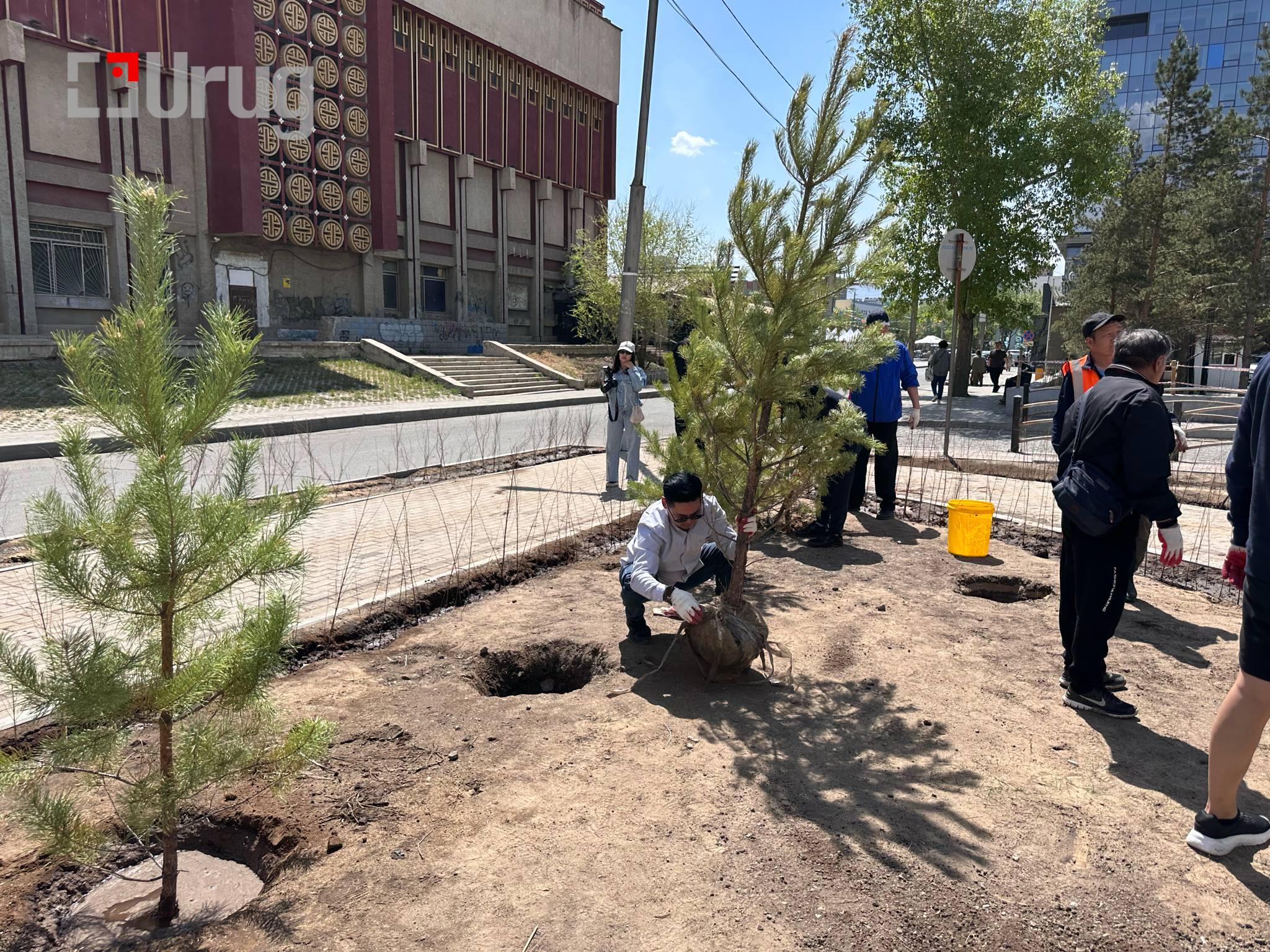 17484045446836894013f9d