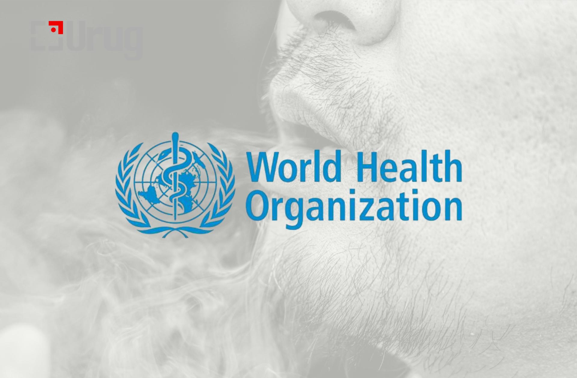 582050681_856066010430443_5260626745879326638_n