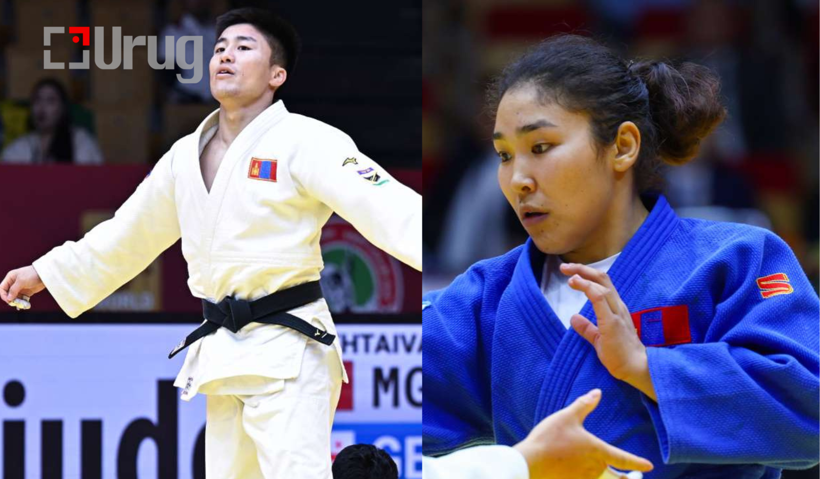 Untitled design (49)