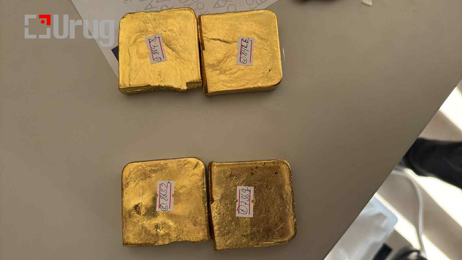 e1bbbd58-d371-4f7b-a6e0-5877adb40e31