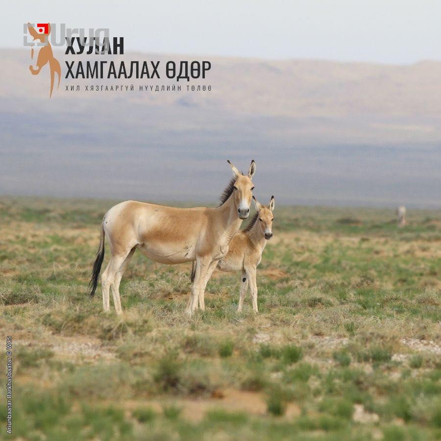 571285246_1234280805506353_3482772810872997993_n