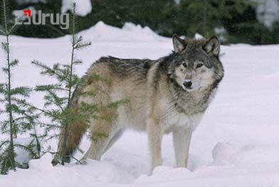 584457851_1263167682617665_6413828450266644600_n