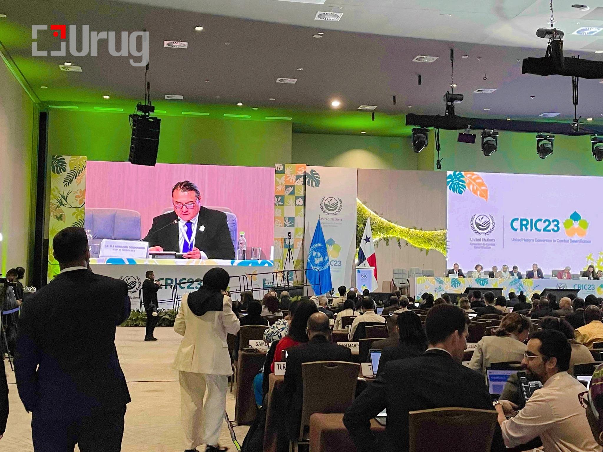 591741030_1275048398096260_4975631150922141929_n