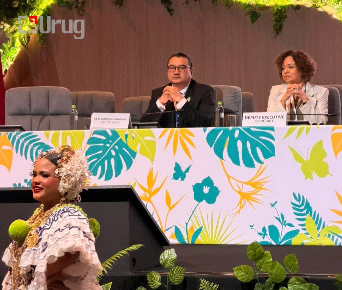 592506227_1275234764744290_6497587272235239403_n