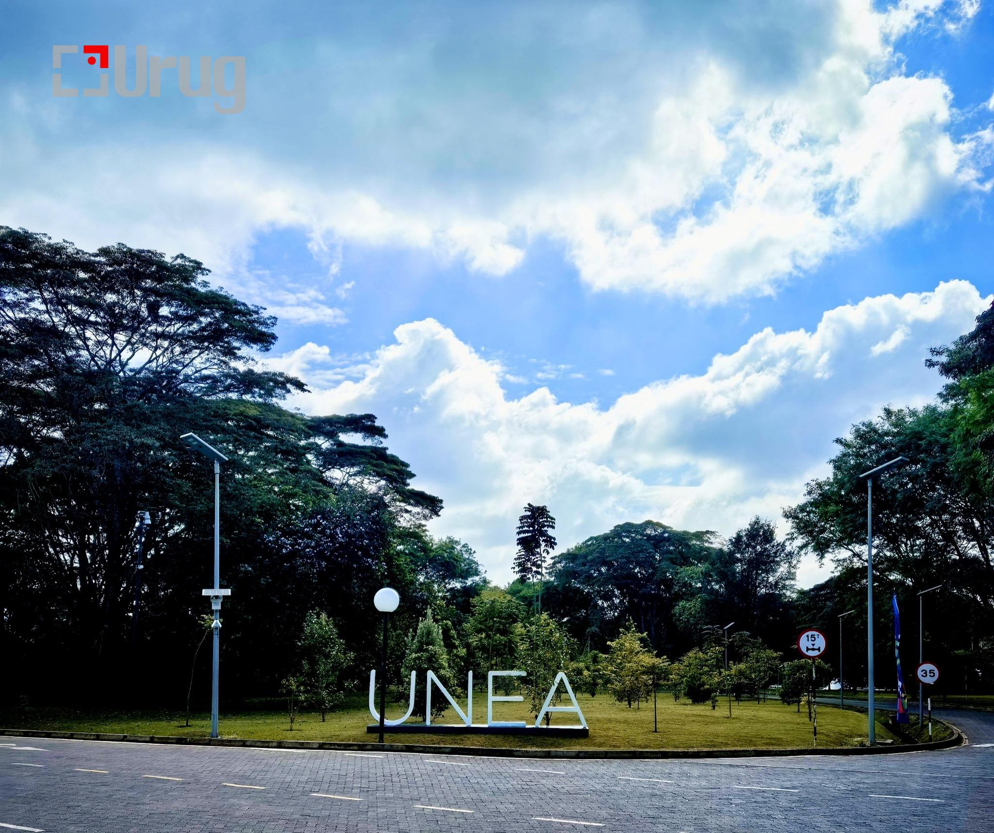 594981651_1282240094043757_387991212876891778_n