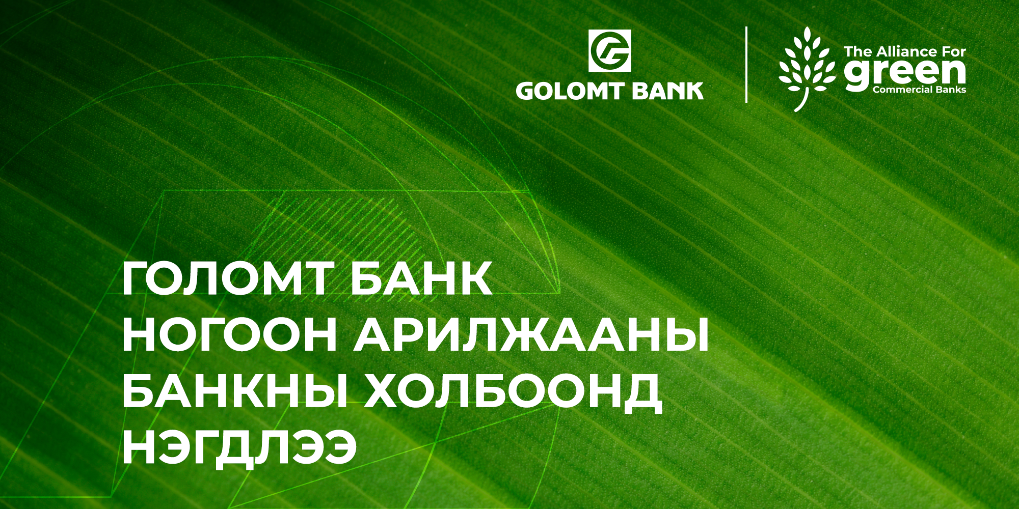 20260129_Green_commercial_Banks_Banner_MN