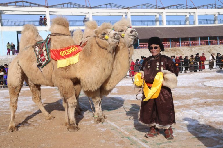 622871284_1323013043198547_4826111508503211852_n