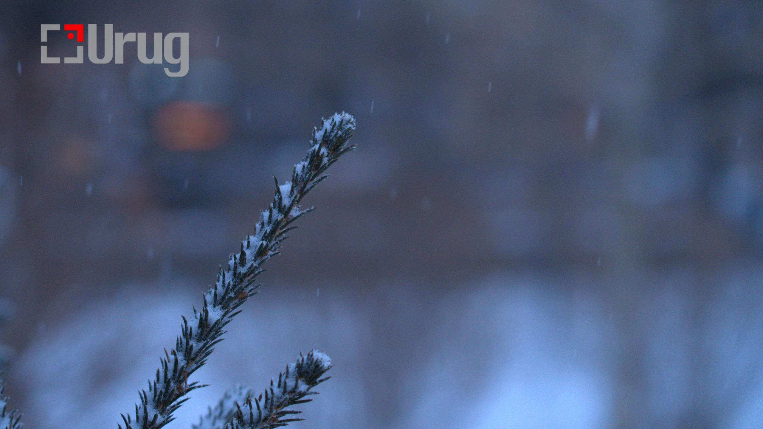 tsag agaar tsastai (6)