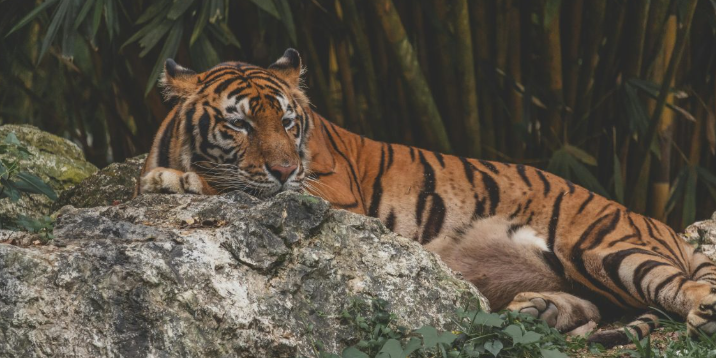 Screenshot 2026-02-25 112306