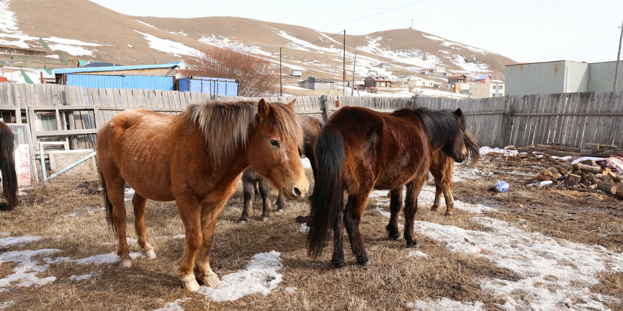 69bcfb790e1ea02d0ac50470