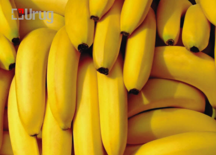 ban