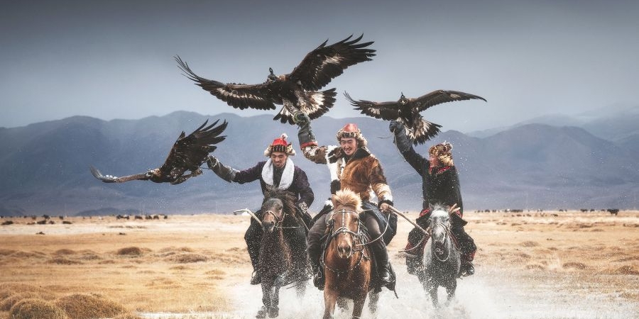 d1a6f9e67ea3a72babe373aa70afe388