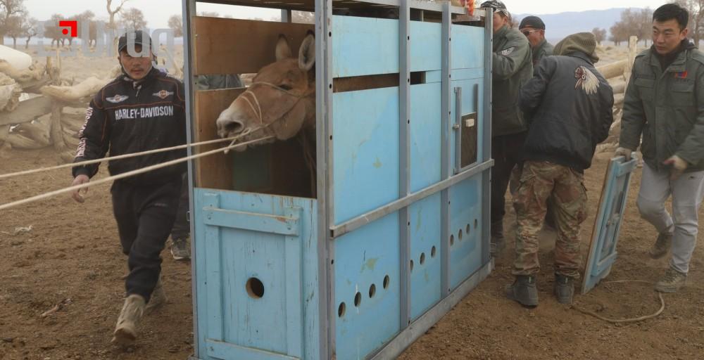 -22042026-1776853625-196999754-674676675_4263336310599542_2922294668179293300_n