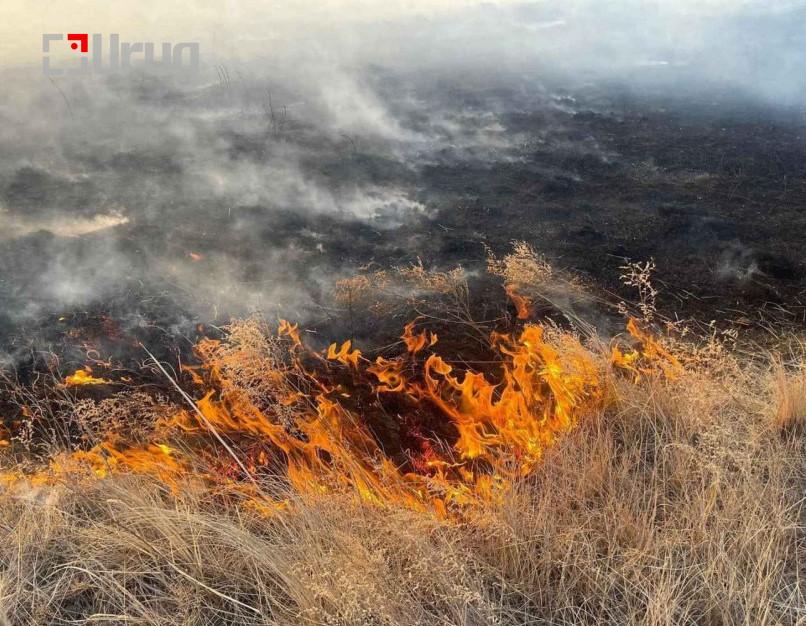 305233-14042023-1681466323-1650225968-tuimer