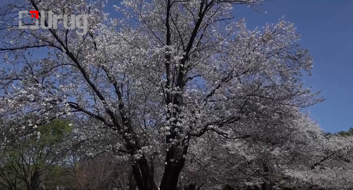 Screenshot 2026-04-04 160056